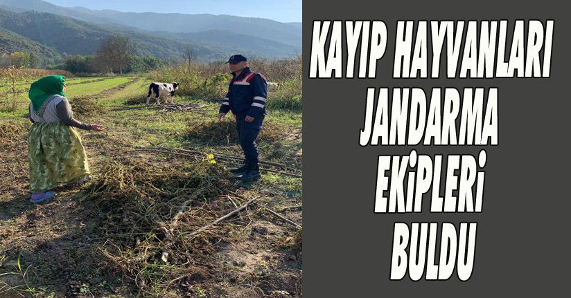 Kayıp Hayvanları Jandarma Ekipleri Buldu