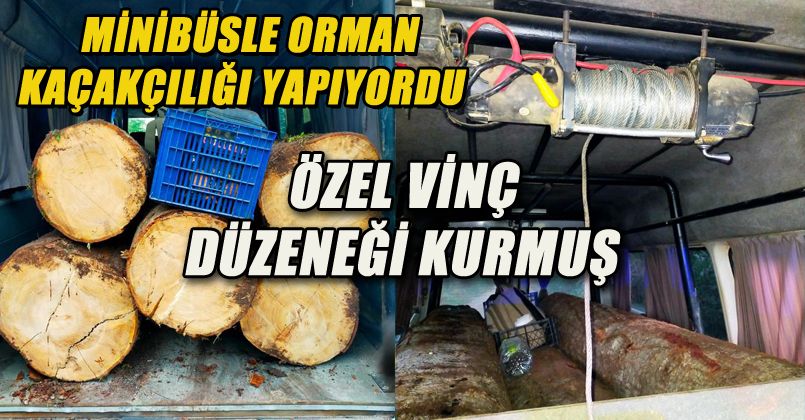 Minibüsle Orman Kaçakçılığı Yapıyordu
