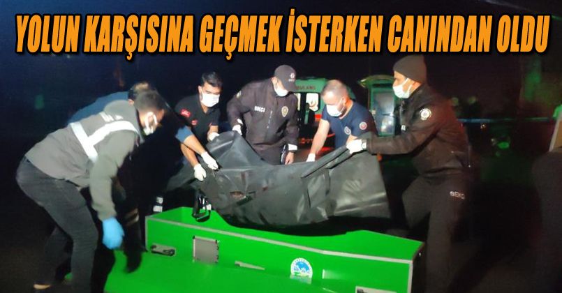 Yolun karşısına geçmek isterken canından oldu