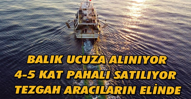 Balık ucuza alınıyor, 4-5 kat pahalı satılıyor, tezgah aracıların elinde