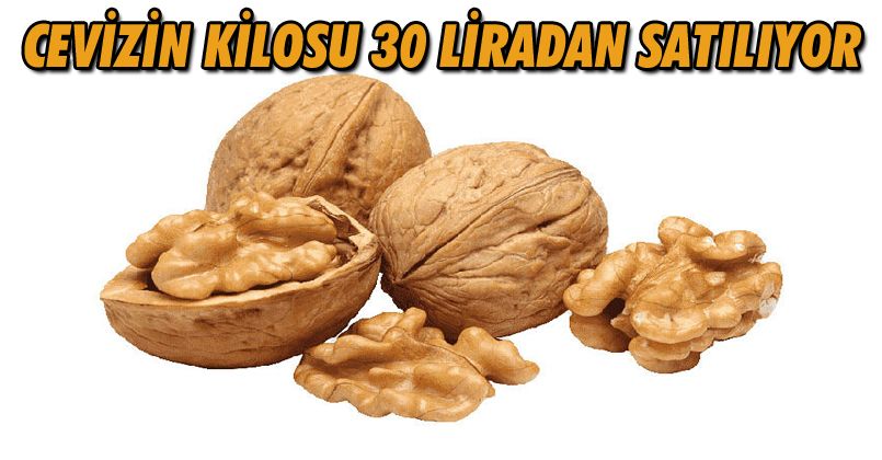 Cevizin Kilosu 30 Liradan Satılıyor