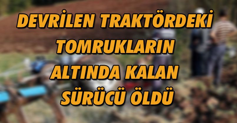 Devrilen traktördeki tomrukların altında kalan sürücü öldü