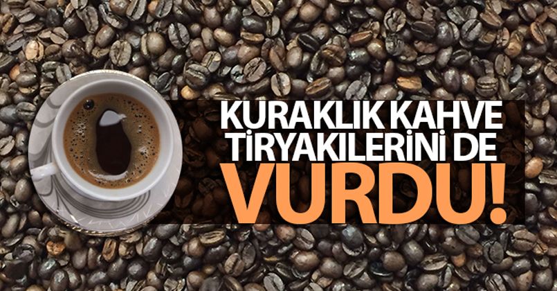 Kuraklık kahve tiryakilerini de vurdu