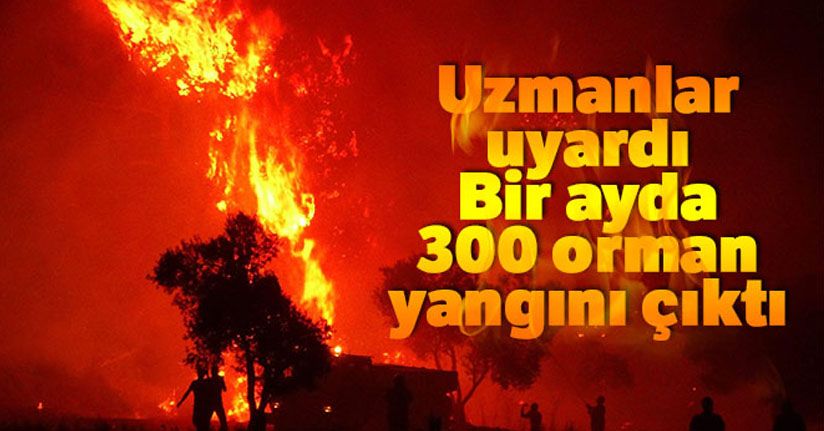 Bir ayda 300 orman yangını çıktı...Uzmanlar uyardı