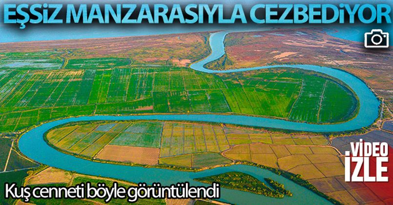Göksu Deltası Kuş Cenneti havadan görüntülendi