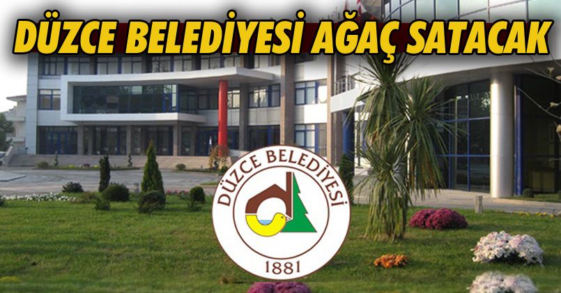 Düzce Belediyesi Ağaç Satacak