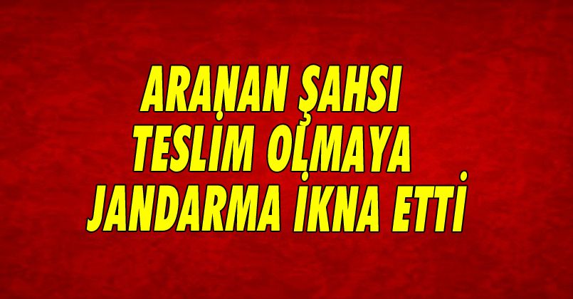 Aranan Şahsı Teslim Olmaya Jandarma İkna Etti