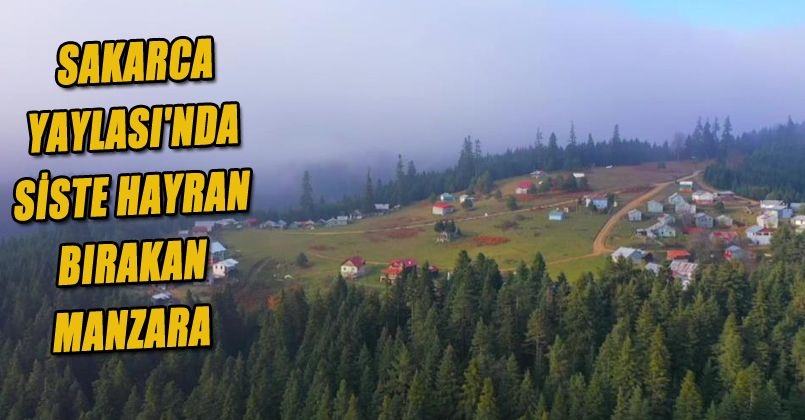 Sakarca Yaylası'nda siste hayran bırakan manzara