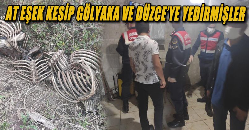 Tek tırnaklı hayvan kesen baba oğula suçüstü