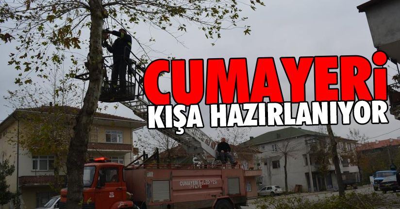 Başkan Koloğlu,
