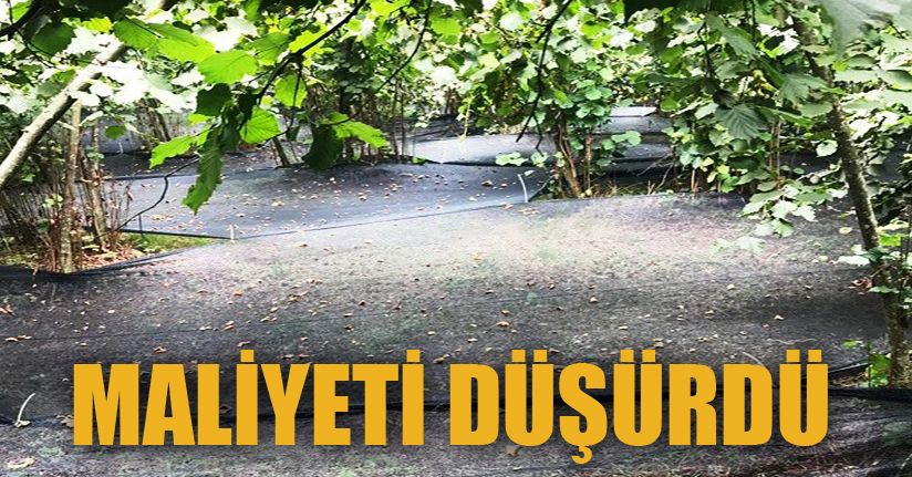 Bu yöntem maliyeti yüzde 70 düşürdü, karı yüzde 3 artırdı