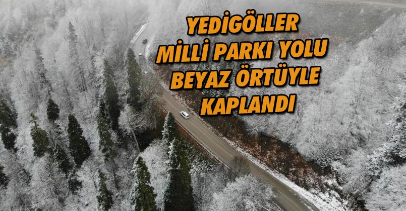 Yedigöller Milli Parkı yolu beyaz örtüyle kaplandı