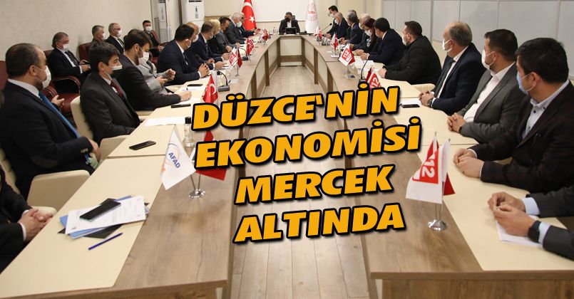 Düzce'nin Ekonomisi Mercek Altında