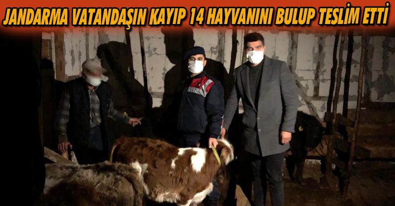 Jandarma Vatandaşın Kayıp 14 Hayvanını Bulup Teslim Etti