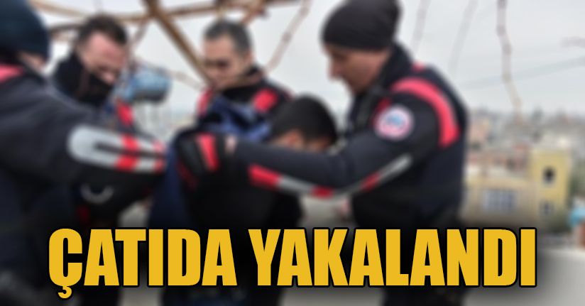 Polisler çatı katında yakaladı