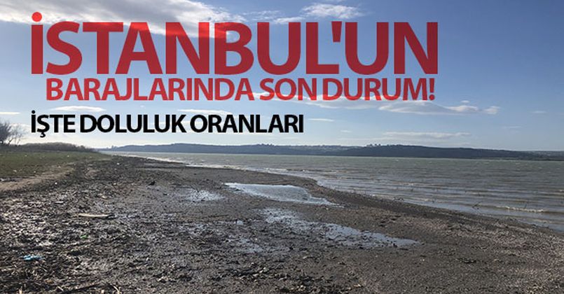 istanbul un barajlarinda son durum gundem ulusal haberleri duzce tv