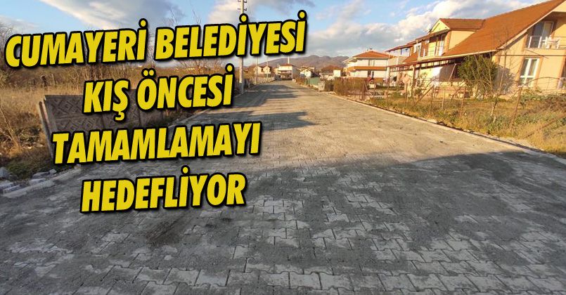 Cumayeri’nde saha çalışmaları devam ediyor