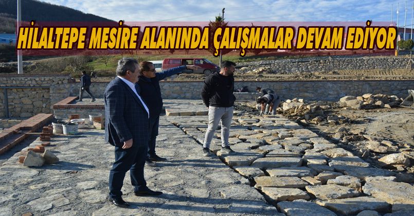 Hilaltepe Mesire Alanında Çalışmalar Devam Ediyor 