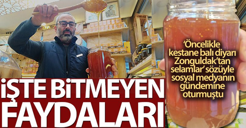 Kestane balı KOAH hastalığına birebir