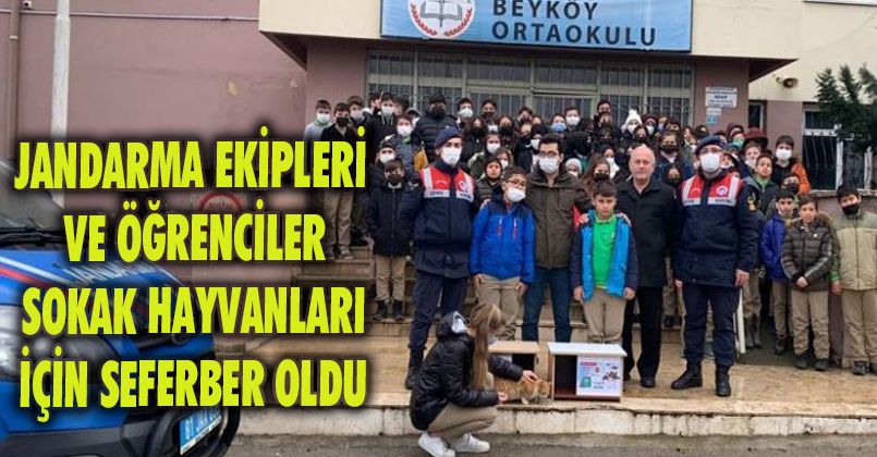 Jandarma ekipleri ve öğrenciler sokak hayvanları için seferber oldu