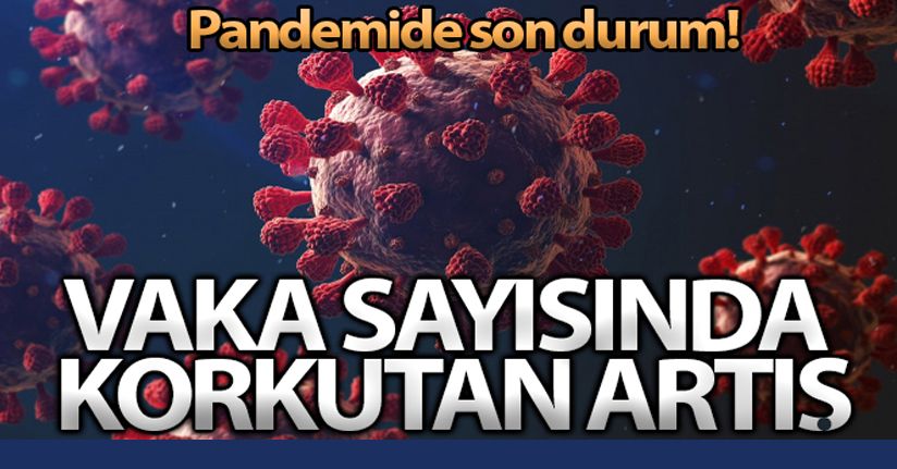 28 Aralık 2021 Korona Virüs Tablosu