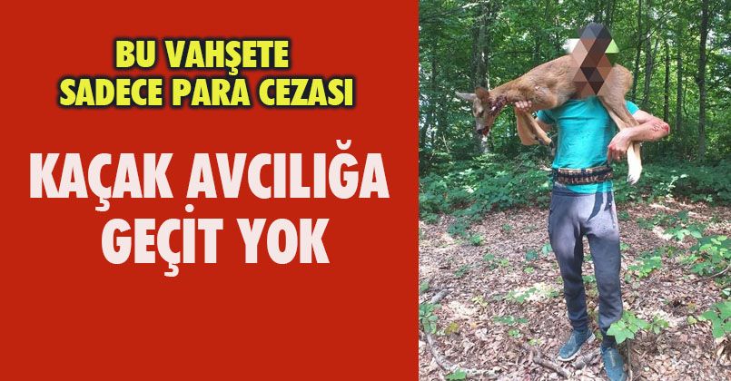 Kaçak avcılığa geçit yok