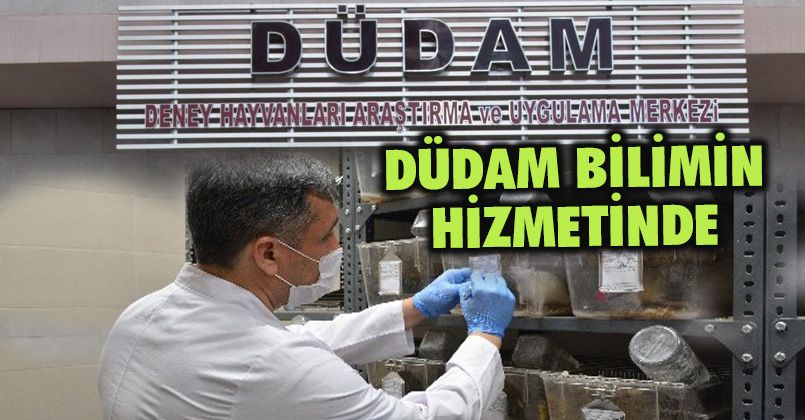 Düzce Üniversitesi Deney Hayvanları Uygulama ve Araştırma Merkezi (DÜDAM)