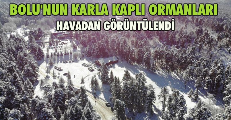 Bolu'nun karla kaplı ormanları havadan görüntülendi