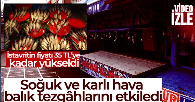 Soğuk ve karlı hava balık tezgâhlarını etkiledi