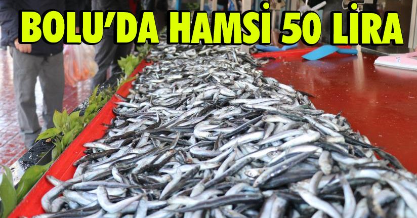 Bolu’da hamsi fiyatları 50 liraya kadar çıktı
