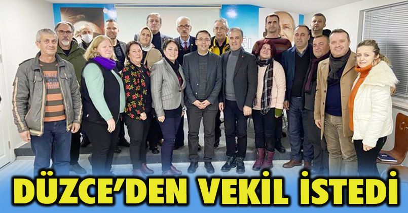 Baltacı Düzce’den Vekil İstedi