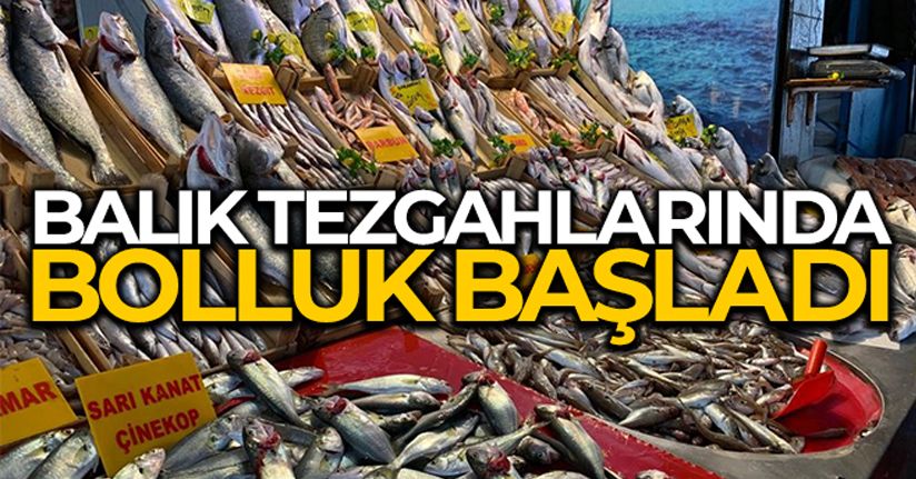 Geçtiğimiz günlerde boş kalan balık tezgahlarında bolluk başladı