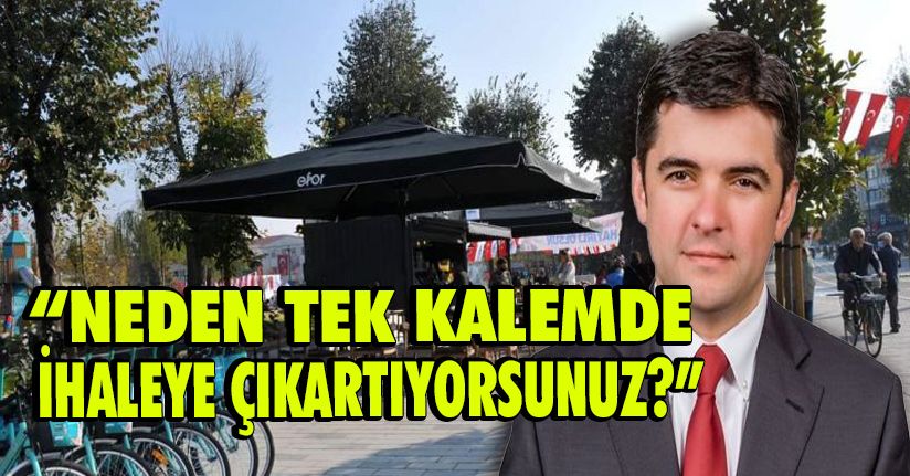 Neden Tek Kalemde İhaleye Çıkartıyorsunuz?