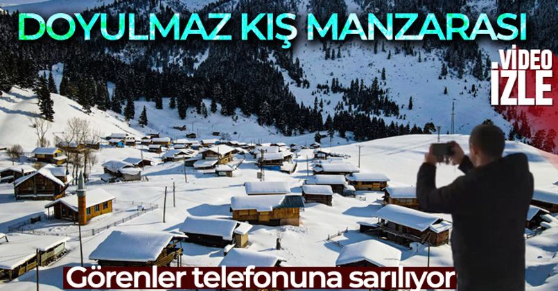 Manzarayı görenler durup cep telefonuna sarılıyor