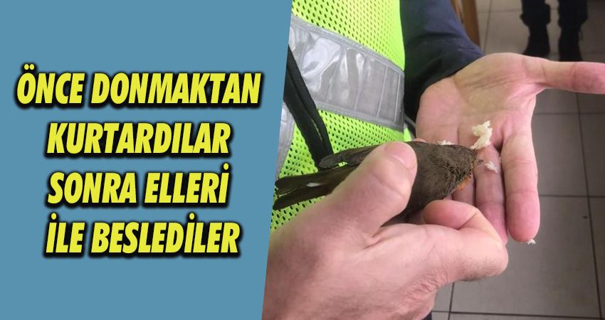 Önce donmaktan kurtardılar sonra elleri ile beslediler