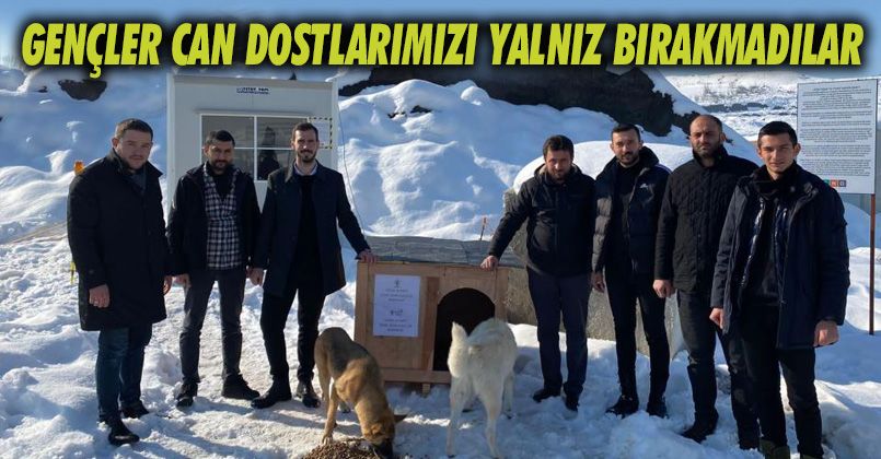 Gençler can dostlarımızı yalnız bırakmadı