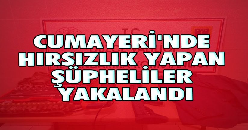 Cumayeri'nde Hırsızlık Yapan Şüpheliler Yakalandı