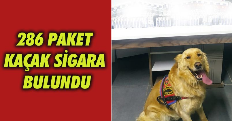 286 paket kaçak sigara bulundu