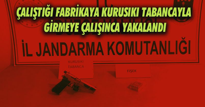 Fabrikaya kurusıkı tabancayla girmeye çalışınca yakalandı