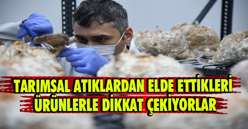 Tarımsal Atıklardan Elde Ettikleri Ürünlerle Dikkat Çekiyorlar