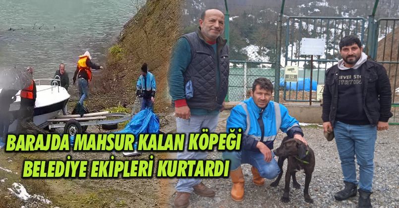 Barajda mahsur kalan köpeği Belediye ekipleri kurtardı
