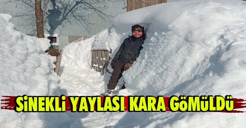 Sinekli Yaylası Kara Gömüldü