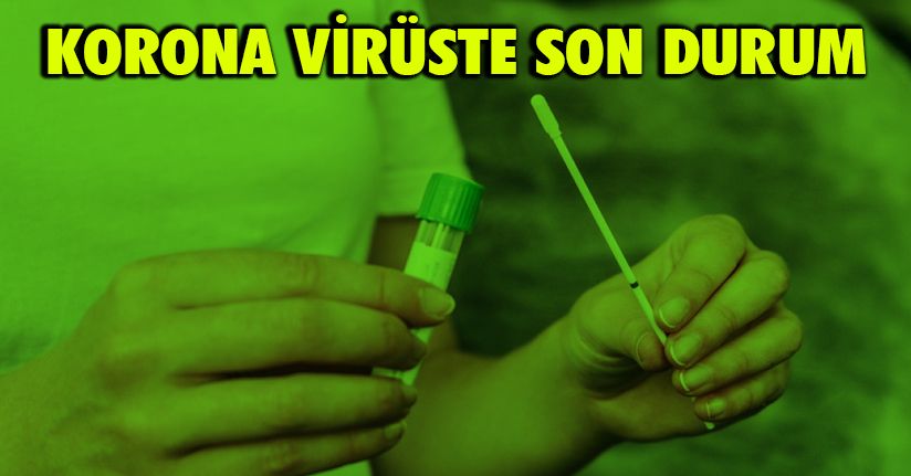 20 Mart 2022 Korona Virüs Tablosu