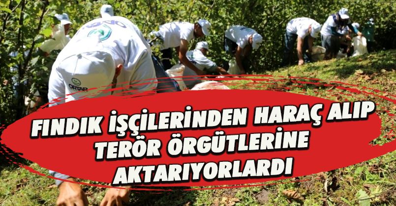 Düzce'de PKK/KCK terör örgütüne maddi destek sağlayan 16 şüpheli yakalandı