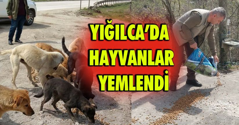 Yığılca’da hayvanlar yemlendi