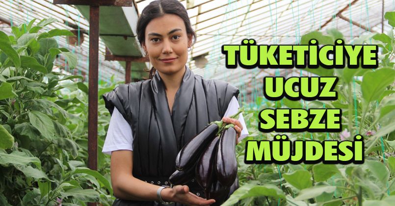 Tüketiciye ucuz sebze müjdesi