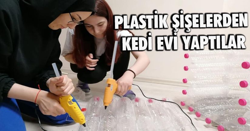 Plastik şişelerden kedi evi yaptılar