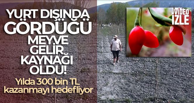 Yurt dışında gördüğü meyveyi yetiştirmeye başladı, yılda 300 bin TL kazanmayı hedefliyor