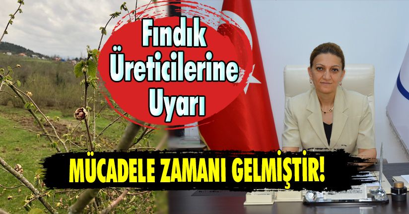 Fındık Üreticilerine Uyarı: Mücadele Zamanı Gelmiştir!